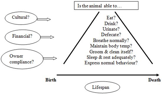 Figure 1. Orpet & Jeffery Ability Model 2007.