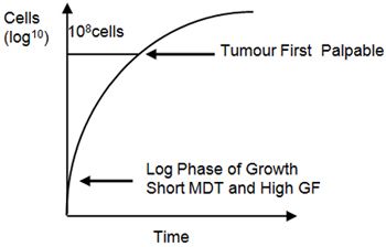 Figure 2. Gompertzian growth.