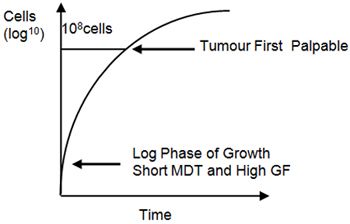 Figure 2. Gompertzian growth.