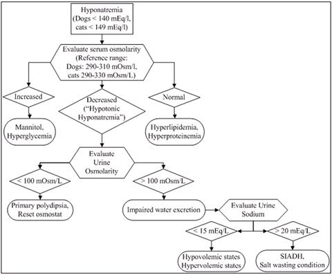 Figure 1. Approach to hyponatremia.