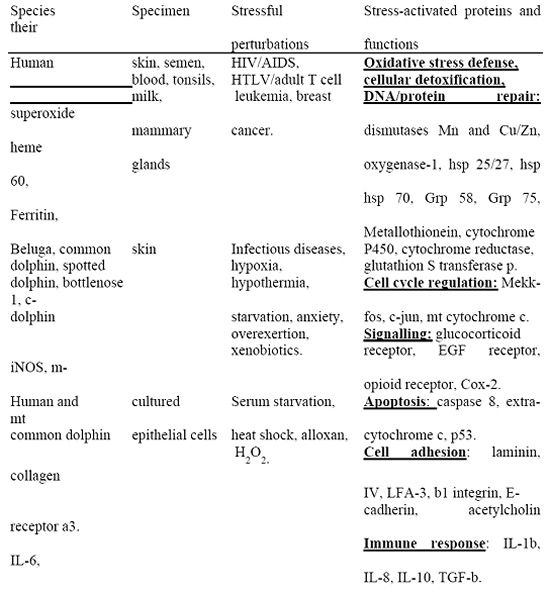 Table 1. Stress-activated proteins in human patients and cetaceans.<sup>a</sup>