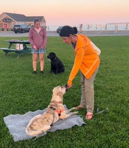 Two women work with two dogs on green grass