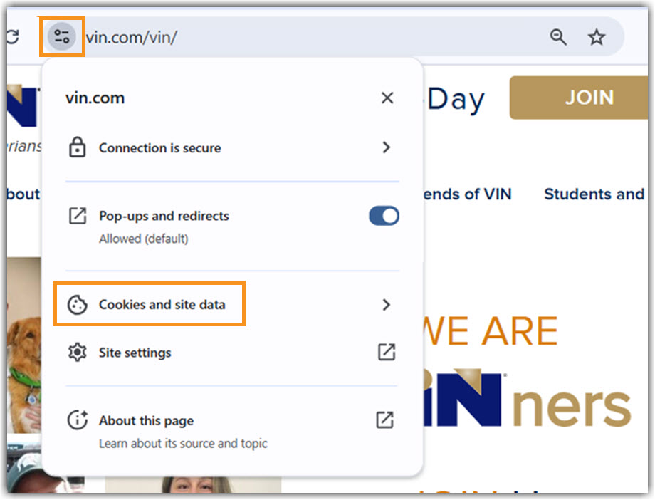 Image of accesing Cookies and site data from URL bar