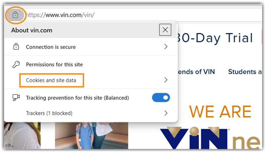 Image of Edge URL cookies search