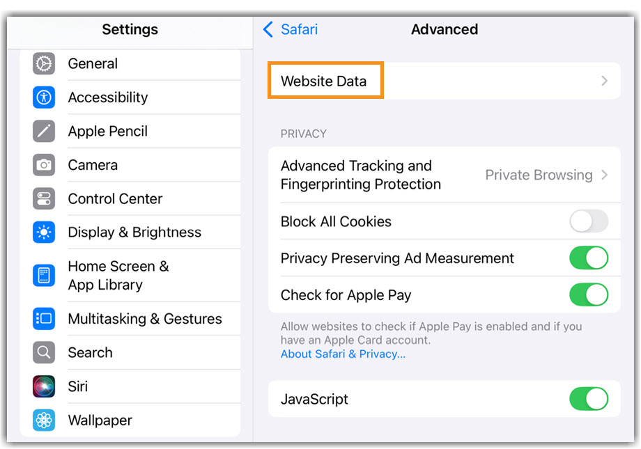 image of iPad/iPhone Safari Website Data