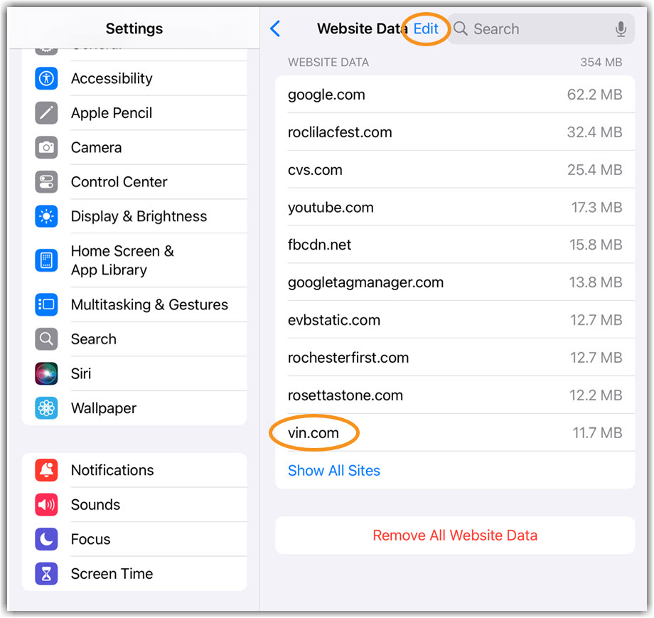 image of iPad/iPhone Website Data edit button