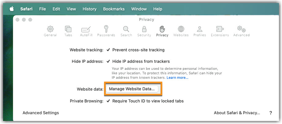 Image of Safari Manage Website Data page