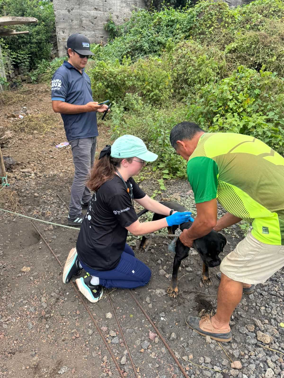 Three people work with a black dog in the jungle