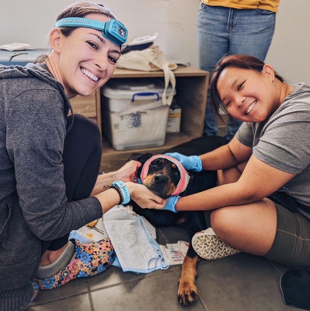 Going the distance to bring veterinary care to a Pacific island