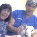 VIN Member
