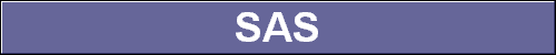  SAS 