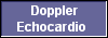  Doppler
Echocardio 