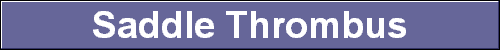  Saddle Thrombus 