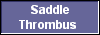  Saddle
Thrombus 