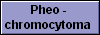  Pheo - 
chromocytoma 