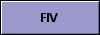  FIV 