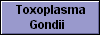  Toxoplasma
Gondii 