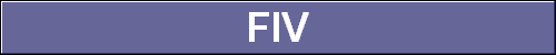  FIV 