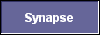  Synapse 