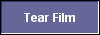  Tear Film 