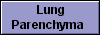  Lung
Parenchyma 