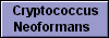  Cryptococcus
Neoformans 