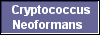  Cryptococcus
Neoformans 