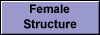 Female 
 Structure